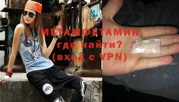 spice Богданович